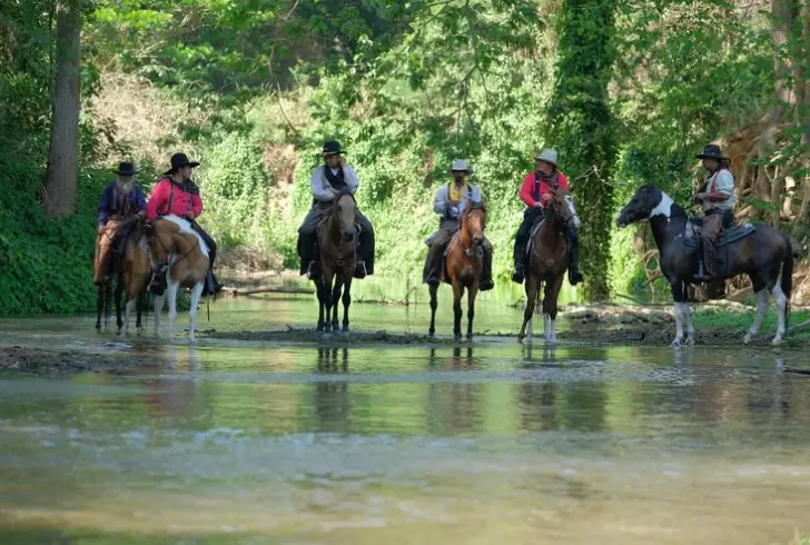 If you're seeking adventure, skydiving and horseback riding are exciting 50th birthday ideas.