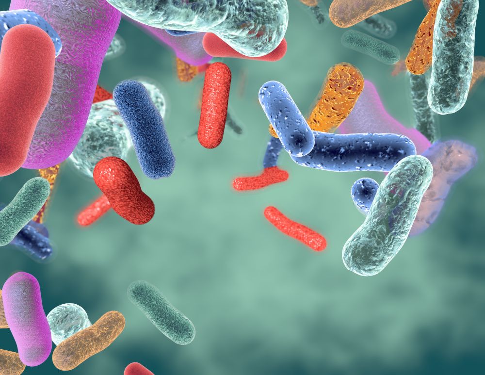 All You Need to Know About Postbiotics & Their Health Benefits